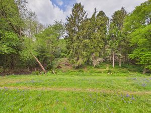 Meadow- click for photo gallery